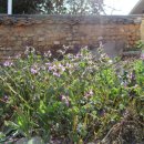 둥지식당 이미지