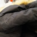 세탁소가는날 이미지