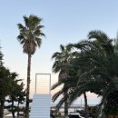 제주도 게스트하우스파티 빅썸 이미지