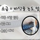 주부 9단도 놀랄 듯?! 당신이 평생 몰랐던 간편하게 비린내 잡는 방법 이미지