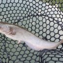 양벌낚시터 이미지