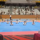 용인대 매교태권도장 이미지