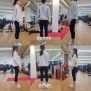 라임헬스 앤 피티 | 전주 서신동 헬스장 라임헬스 PT 피티 20회 내돈내산 후기