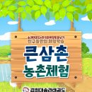 송라태권도 이미지