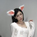 도도한여우