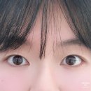 2164 | 대전 속눈썹 펌, 봉명동 올뮤 후기