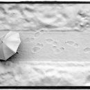 아름다운 선율 바이올린 이미지