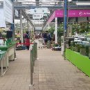 하나로 플라워 수족관 이미지