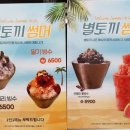 카페별토끼