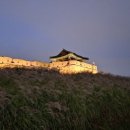 2025 수원화성 미디어아트 이미지