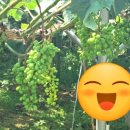 남들경로당 이미지