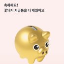 꽃돼지