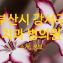 서울민트치과의원 이미지