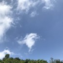 고향김밥칼국수 이미지