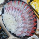 갈릴리회집 | 포항 죽도시장 맛집 갈릴리대게회식당 대게 회 깔끔한 먹거리 횟집