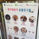 멍이와쿤이 이미지