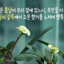 오늘의 小史 이미지