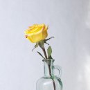 오일파스텔 드로잉 이미지