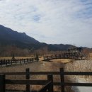 내장산 단풍생태공원 이미지