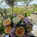[ 신혼여행일기] 발리 포시즌스 앳 짐바란 후기. Four seasons resort Bali at Jimbaran Bay