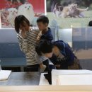 러브펫 반려동물장례식장 이미지