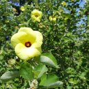 순천만힐링 이미지