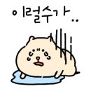 화덕을품은고등어 이미지