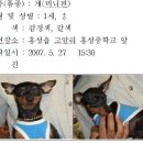 홍성군청(축산과) Daum카페