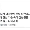 타코냥 네이버블로그