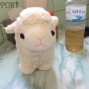 순식목장 이미지