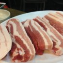 돼지사랑 이미지