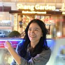 한국신랑베트남신부이야기 네이버블로그