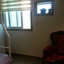 여수게스트하우스플라잉피그B&B 이미지