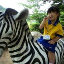 고감도어린이집 이미지