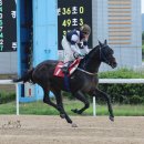 (주)디알엠 이미지