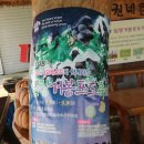 비타민농장(구. 지룡농원) | 천안 입장거봉축제 포도따기체험 후기