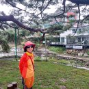 원주굽이길 4코스 꽃양귀비길 이미지