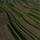인왕산자락 이야기길 | 가을 인왕산(Inwangsan) 자락 누상동(Nusang-dong) 한옥길 단풍이 아름다운 이유