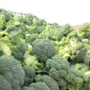 세화농장 이미지