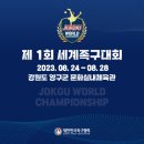 실내체육관보조경기장 네이버블로그