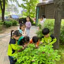 ☘️🌿그린이를 찾아라!-자연물로 꾸미는 지구🌿☘️ 이미지