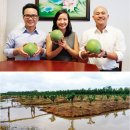 제상 농장 이미지