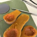 양자농장 이미지