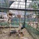 재준농장 이미지