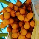 (주)바르 네이버블로그