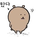 솔라리아 니시테츠 호텔 부산 | 부산 서면 솔라리아 니시테츠 호텔 스탠다드 트윈 후기 내돈내산