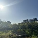 소롱코지 이미지