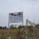 금반농장 네이버블로그