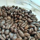 ROJIN(로진) 이미지