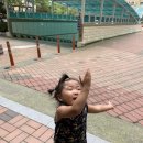 아이린어린이집 놀이터 | 19년8월 셋째주 부산적응기